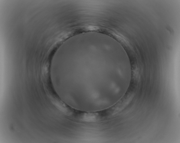 X0000115490373200911061312