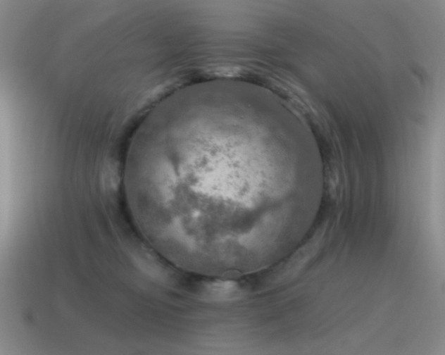 X0000115490374200911061312
