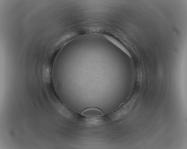 X0000115490378200911061312