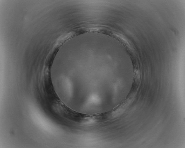 X0000115490381200911061312