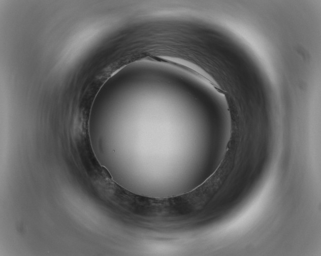 X0000115490382200911061312
