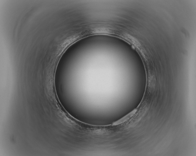 X0000115490385200911061311