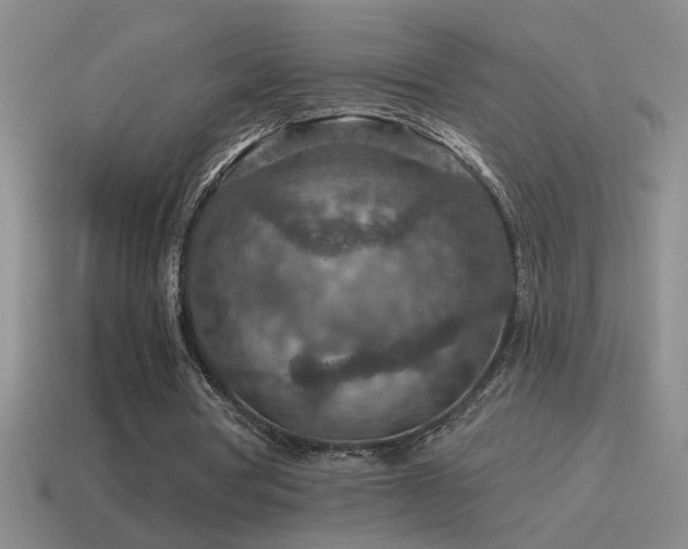 X0000115490386200911061311
