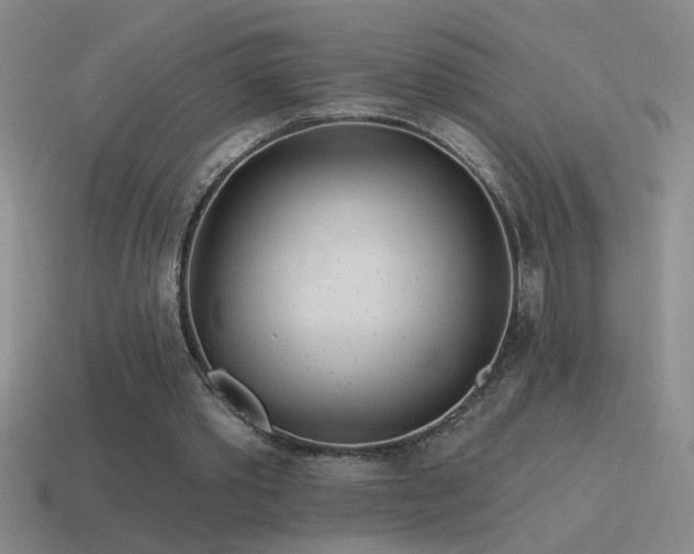 X0000115490389200911061311