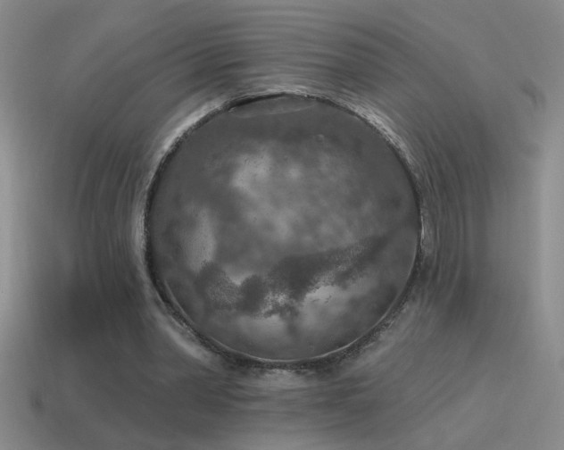 X0000115490390200911061311