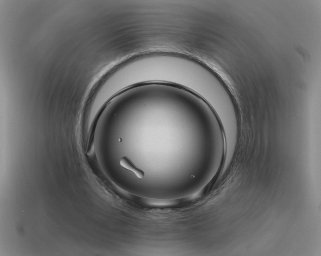 X0000115490391200911061311