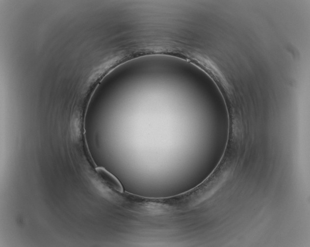 X0000115490393200911061311