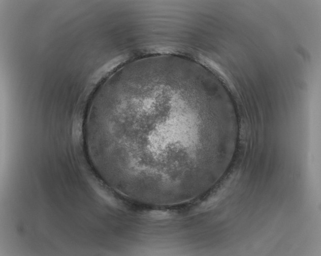 X0000115490394200911061311