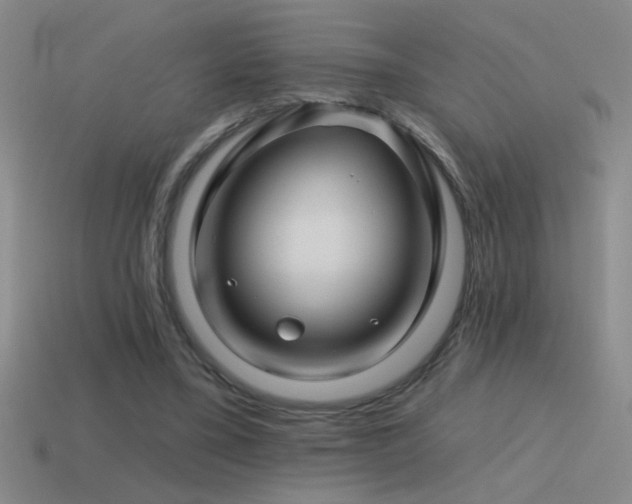 X0000115490395200911061311
