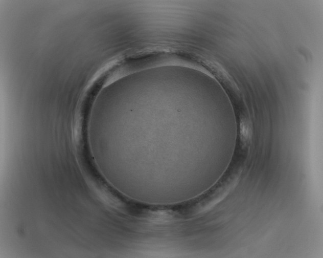 X0000115490396200911061311