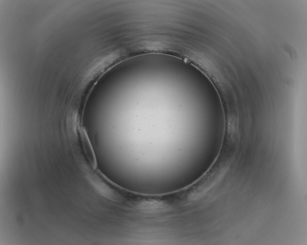 X0000115490397200911061311