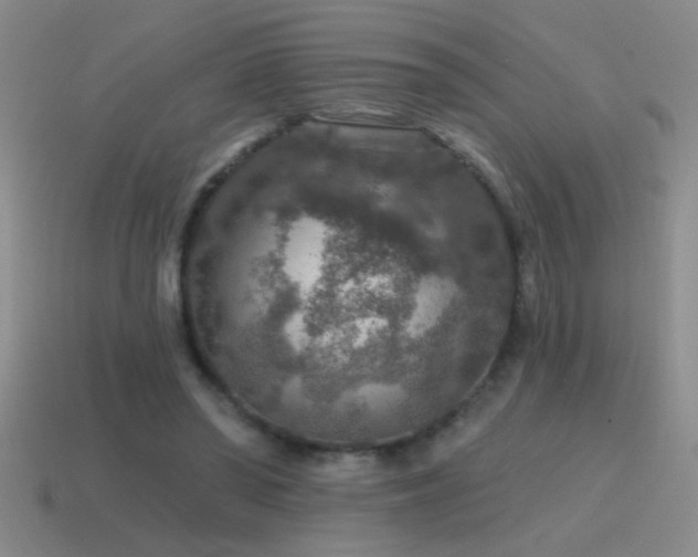 X0000115490398200911061311