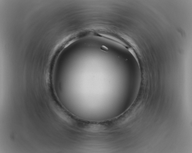 X0000115490399200911061311