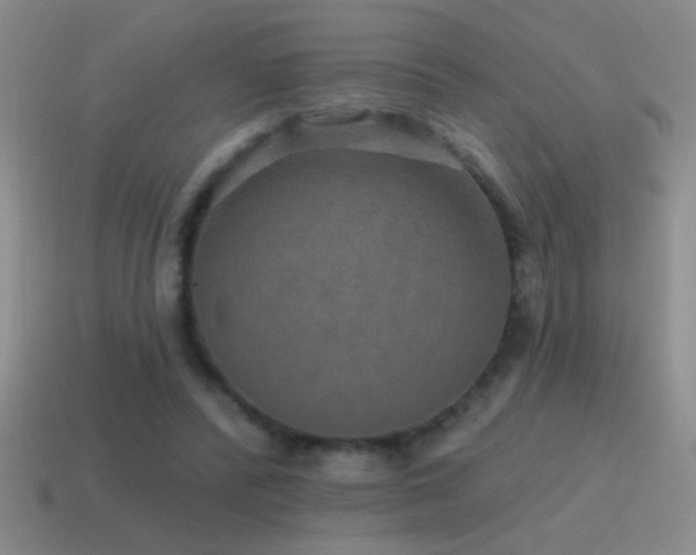 X0000115490400200911061311