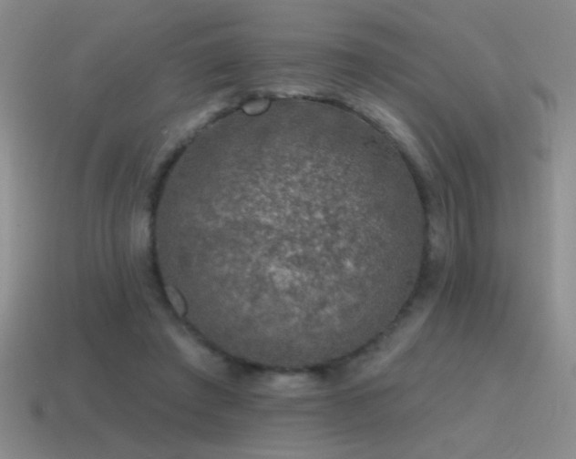 X0000115490401200911061311