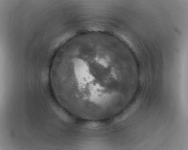 X0000115490402200911061311