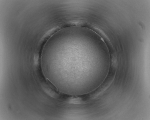 X0000115490403200911061311