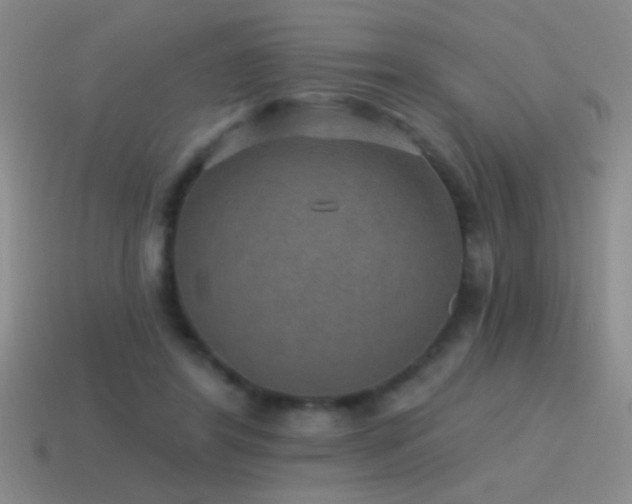 X0000115490404200911061311