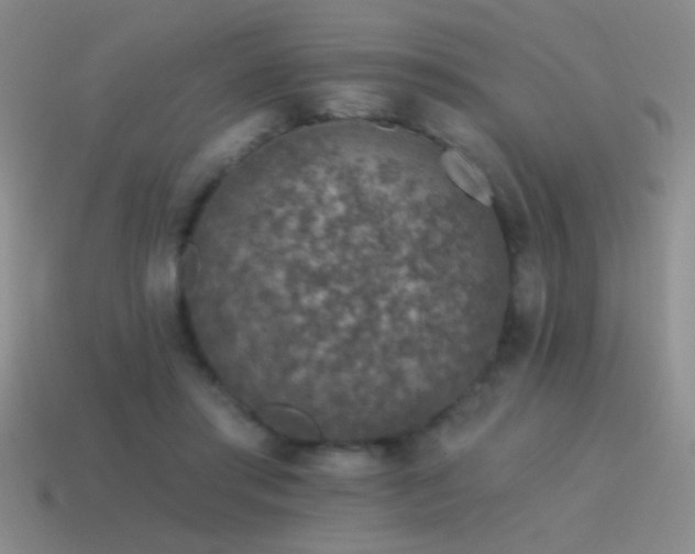 X0000115490405200911061311