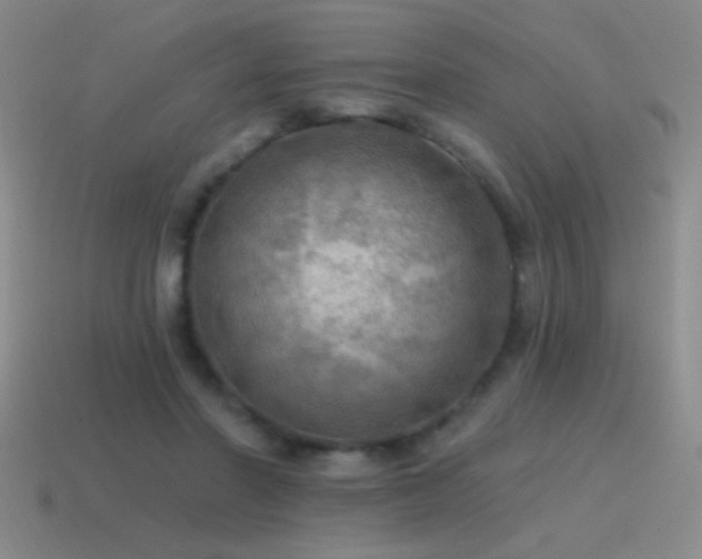 X0000115490406200911061311