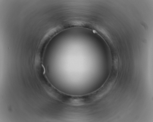 X0000115490407200911061311