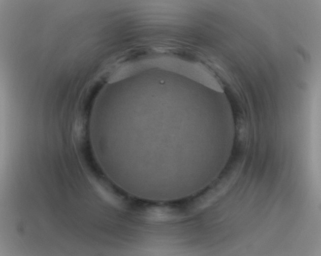 X0000115490408200911061311