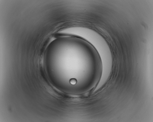 X0000115490409200911061311