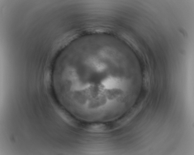 X0000115490410200911061311