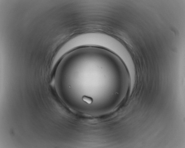 X0000115490411200911061311