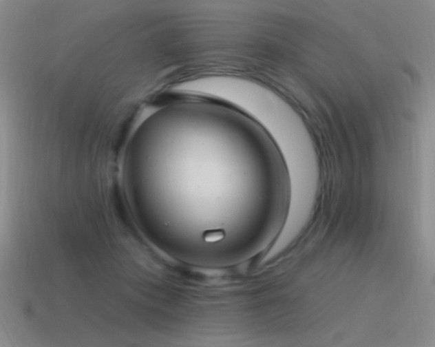 X0000115490413200911061311