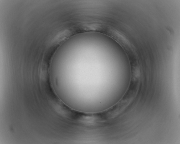 X0000115490414200911061311