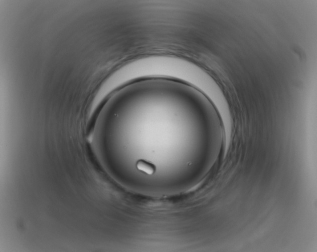 X0000115490415200911061311
