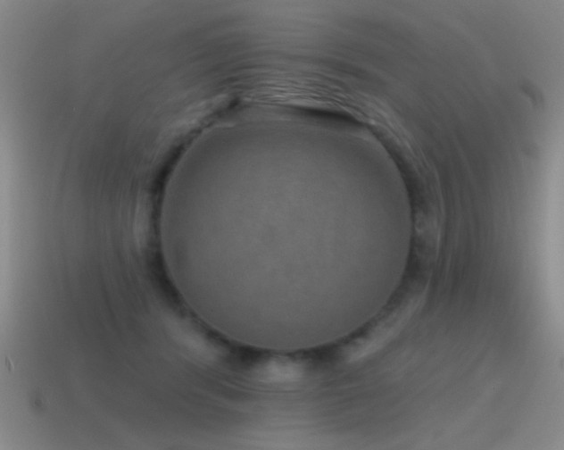 X0000115490416200911061311