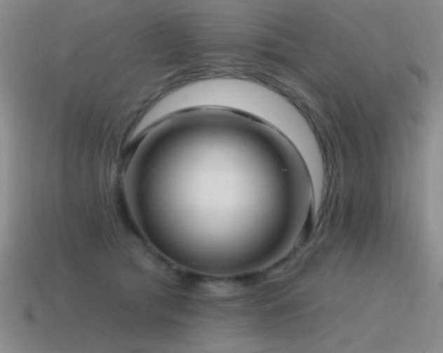 X0000115490417200911061311