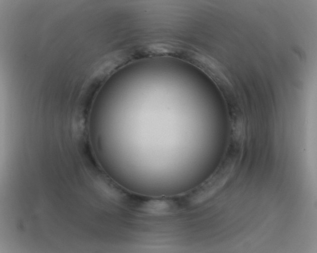 X0000115490418200911061311