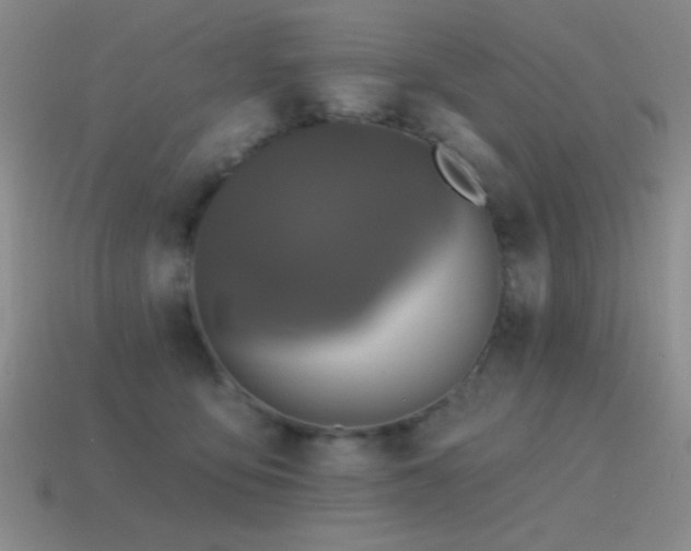 X0000115490419200911061311