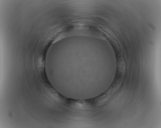 X0000115490420200911061311