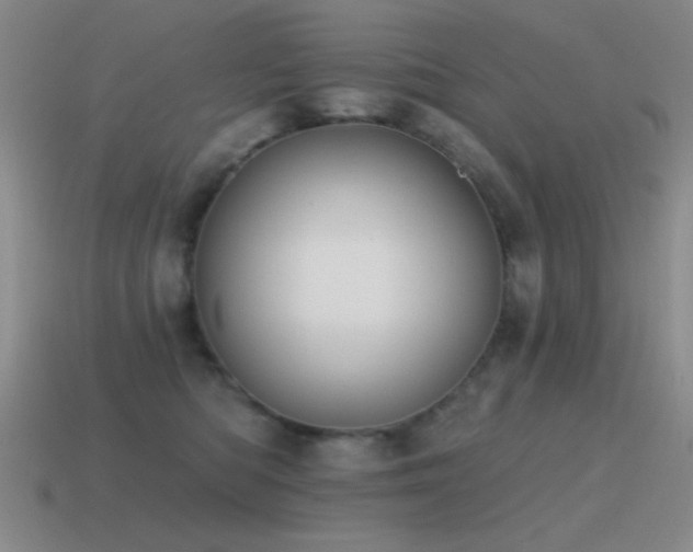 X0000115490422200911061311