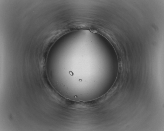 X0000115490423200911061311