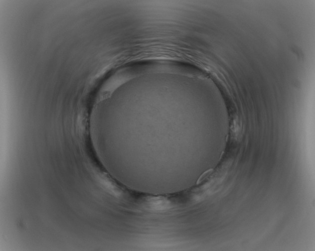 X0000115490424200911061311
