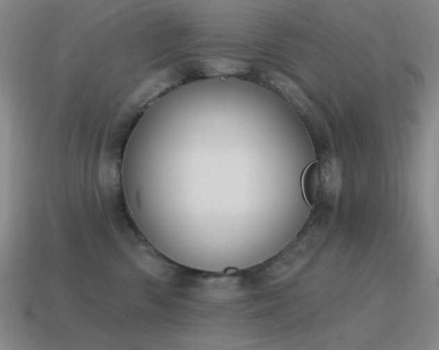 X0000115490426200911061311