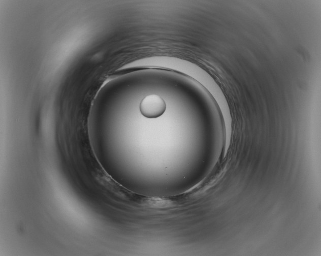 X0000115490429200911061310