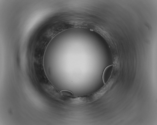 X0000115490430200911061310