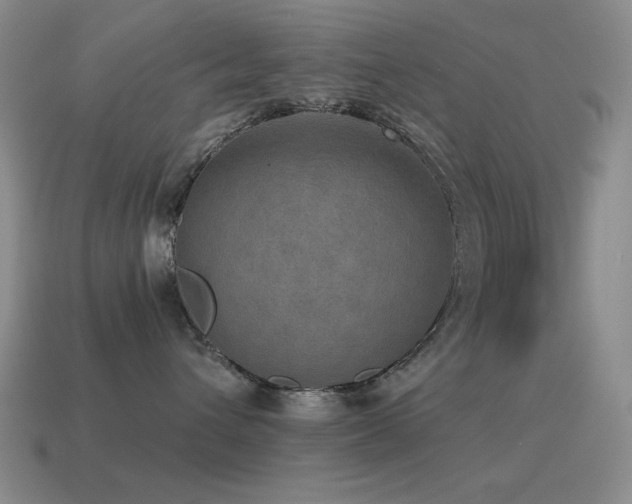 X0000115490432200911061310