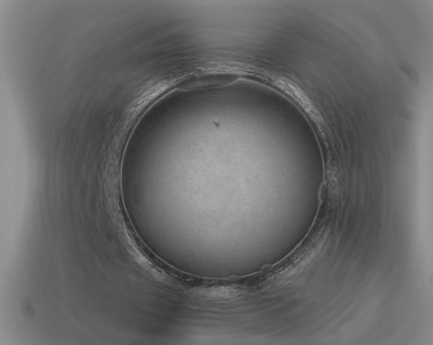X0000115490433200911061310