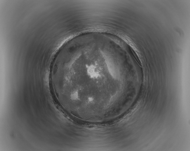 X0000115490434200911061310