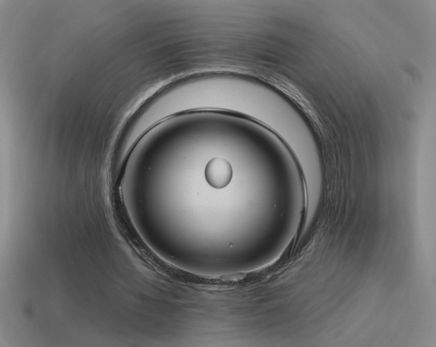 X0000115490436200911061310