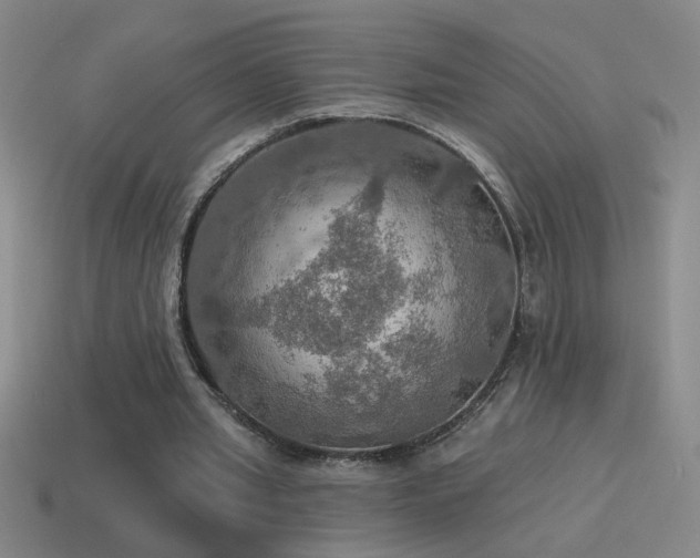X0000115490437200911061310