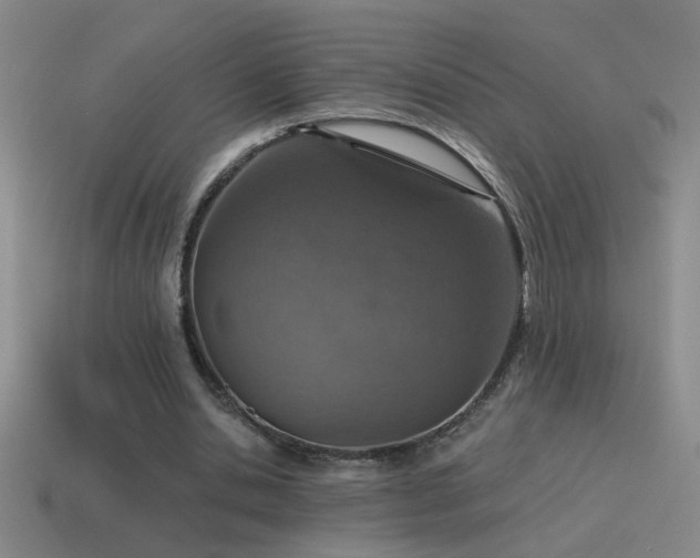 X0000115490438200911061310