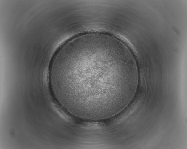 X0000115490439200911061310